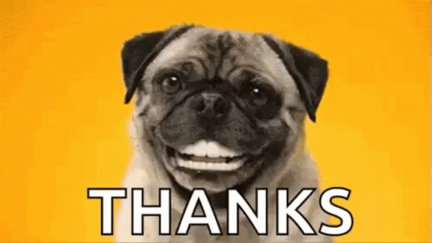 Funny Thank You GIFs 
