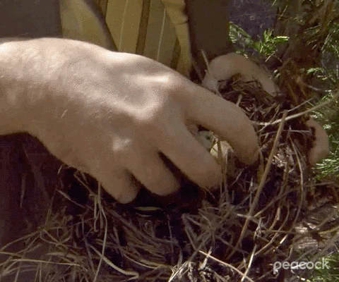 Funny The Office Lunch Time Catch GIF