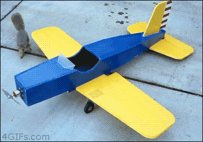 Funny Toy Plane Squirrel GIF