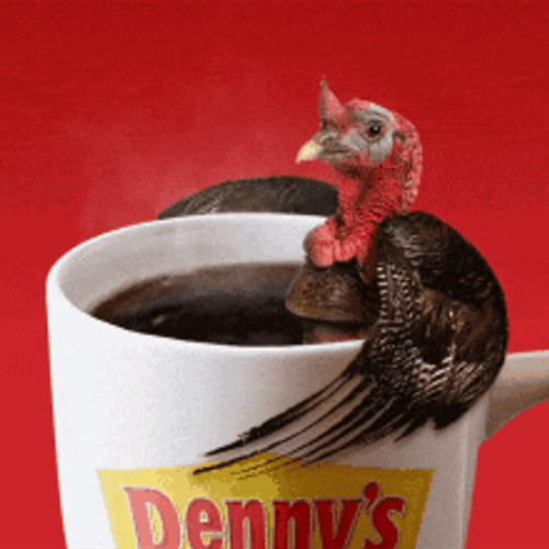 Funny Turkey Bathing In Hot Coffee GIF