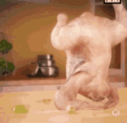 Funny Turkey Meat Lively Dancing GIF