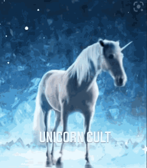 Funny Unicorn Cult GIF