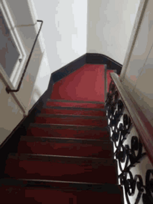 Funny Video Human Enjoys Falling Down The Stairs GIF