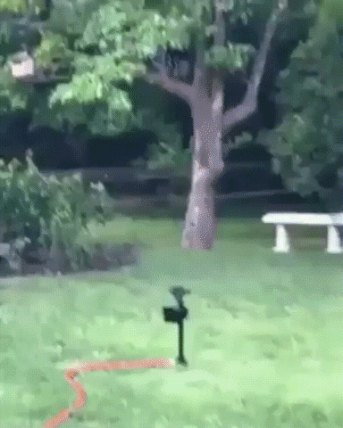 Funny Water Sprinkler Rotation Fail GIF