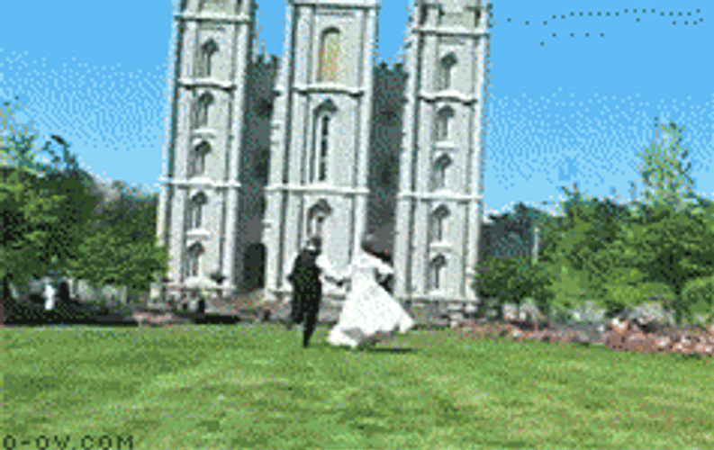 Funny Wedding Groom Dropping Wife To Ground GIF