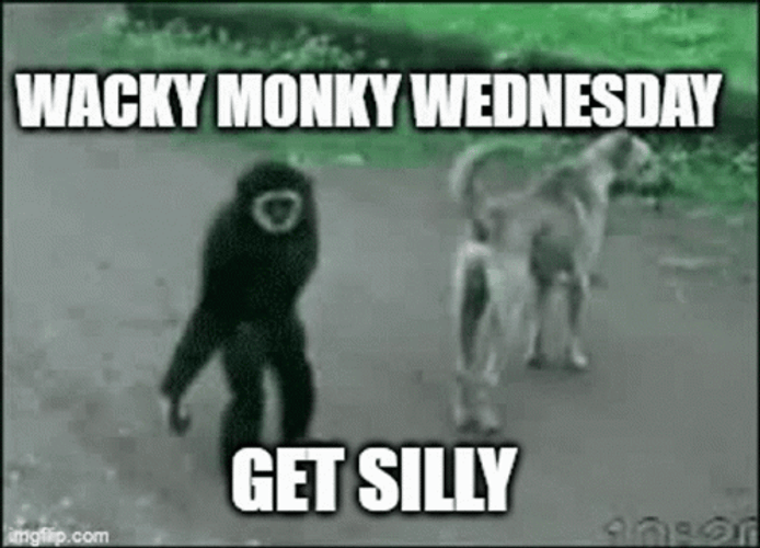 Funny Wednesday Monkey Pulling Dog's Tail GIF