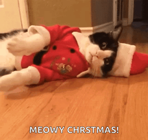 Funny Xmas Santa Kitty Waving GIF