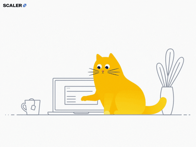 Funny Yellow Typing Cat GIF