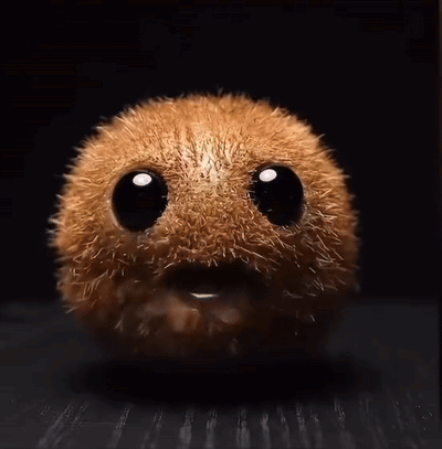 Furry Animal With Kiwi GIF