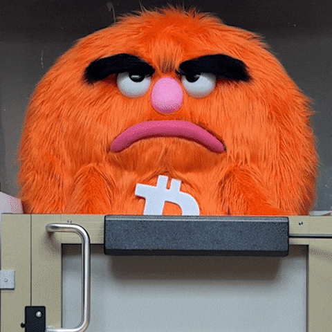 Furry Bitcoin Slow Motion Going Down Meme GIF