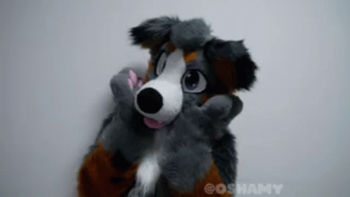 Furry Dog Costume