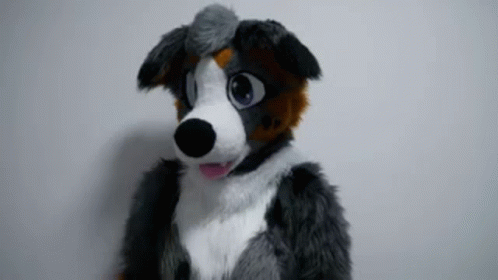 Furry Dog Mascot Looking at Camera