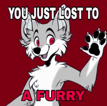 Furry Fox Confetti Yiff GIF
