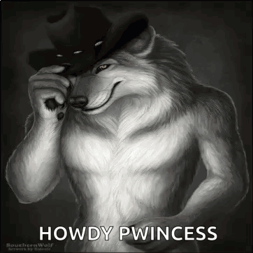 Furry Wolf In Cowboy Hat Smiling GIF