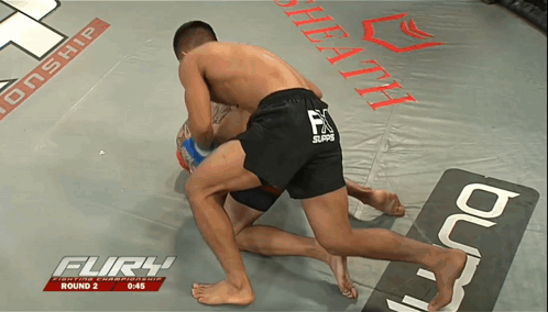 Fury Fighting Championship Round 2
