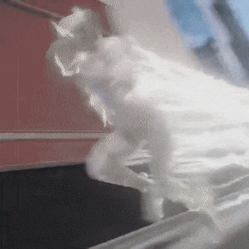 Fusion Animations Godspeed GIF