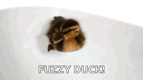Fuzzy Ducky Water Bath GIF