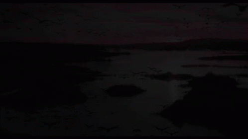 The Lion King Movie GIF