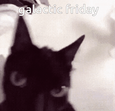 Galactic Friday Cat GIF