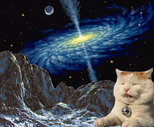 Galaxy Brain Cute Cat GIF