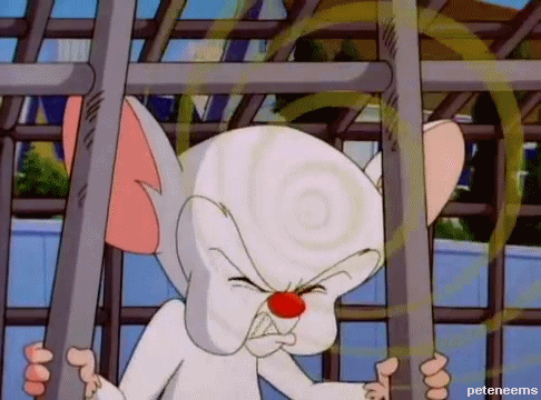 Galaxy Brain Pinky And The Brain Meme GIF