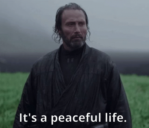 Galen Erso It's A Peaceful Life GIF