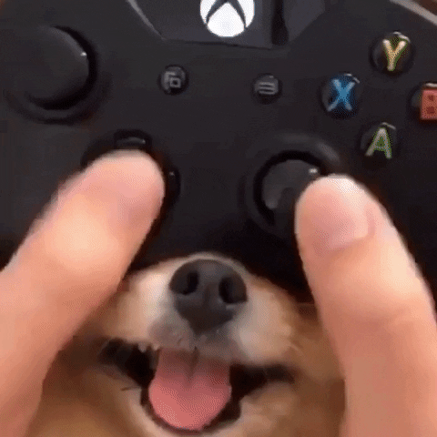 Game Controller Dog Nose GIF