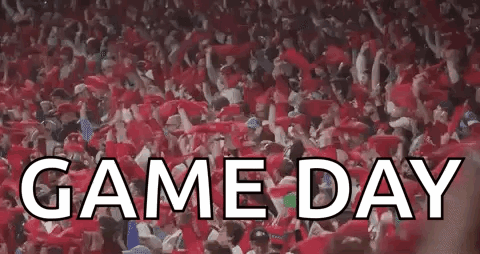 Game Day Crowd in Stadium