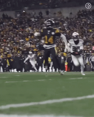 Game Fight George Pickens GIF