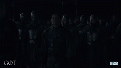 Game Of Thrones Brienne Troup Leader GIF