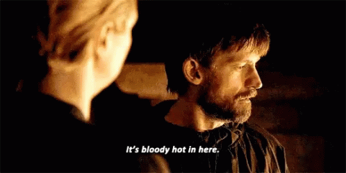 Game Of Thrones Brienne Hears Jaime's Complaint GIF
