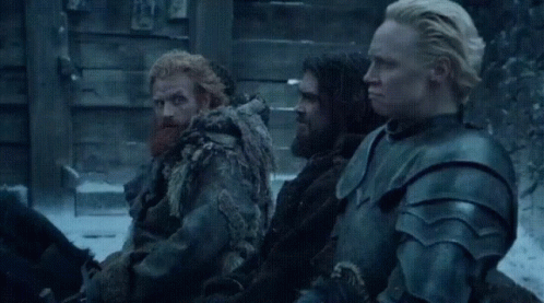 Game Of Thrones Brienne 498 X 277 Gif GIF