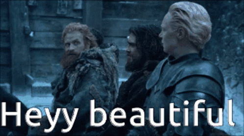 Game Of Thrones Brienne 498 X 278 Gif GIF