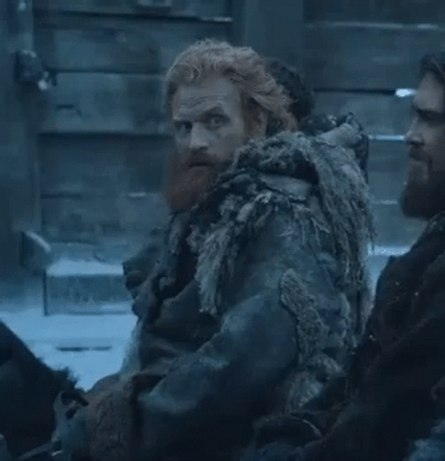 Game Of Thrones Brienne GIF