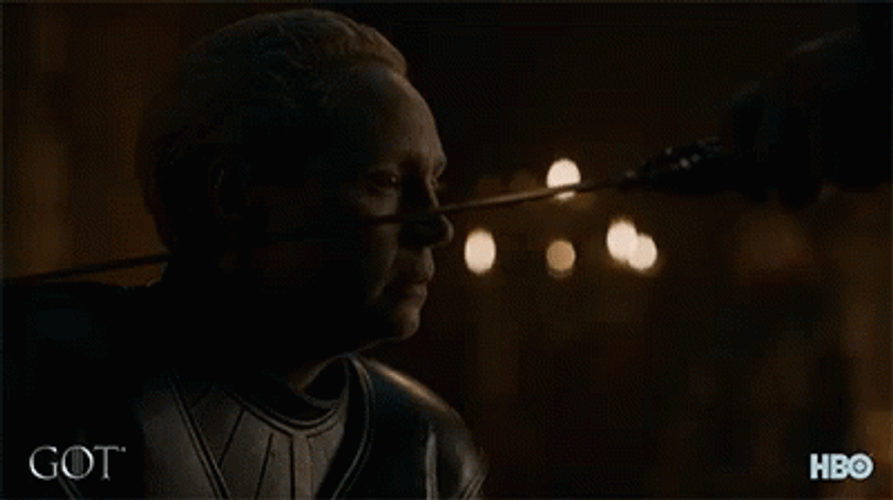 Game Of Thrones Brienne Pointed On By Sword GIF