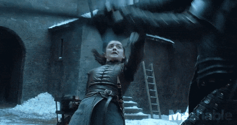 Game Of Thrones Brienne Sword Train Arya Stark GIF