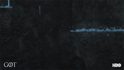 Game Of Thrones Brienne With Sansa GIF