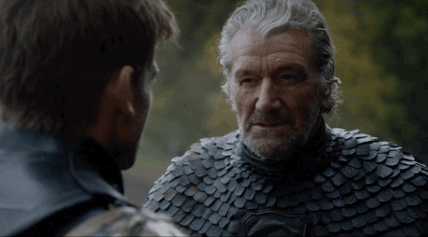 Game Of Thrones The Blackfish GIF