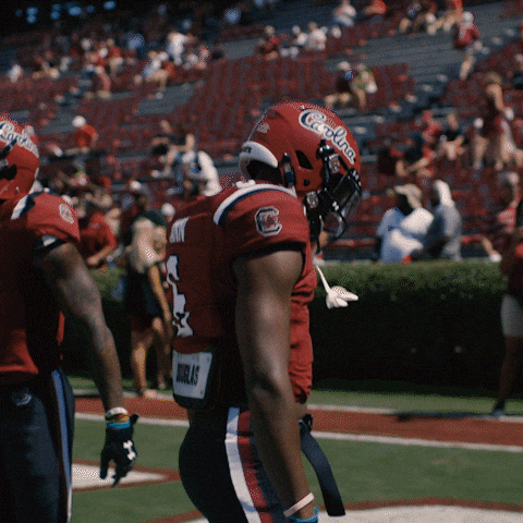 Gamecocks Just Having Fun GIF