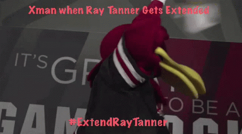 Gamecocks Mascot Cheers For The Game GIF