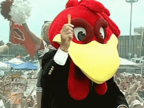 Gamecocks Mascot Jams With The Crowd GIF