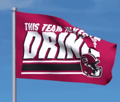 Gamecocks This Team Makes Me Drink Flag GIF