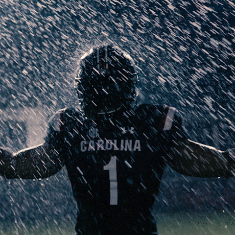 Gamecocks Under The Rain Shower GIF