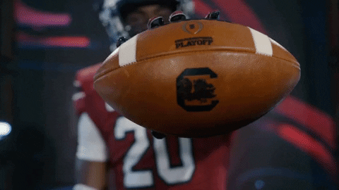 Gamecocks You Got The Ball GIF