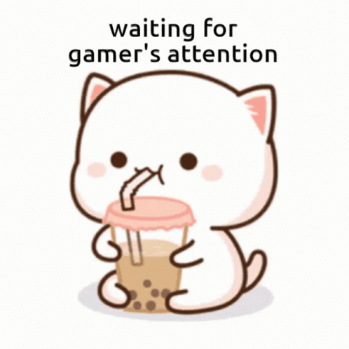 Waiting For Gamer's Attention GIF