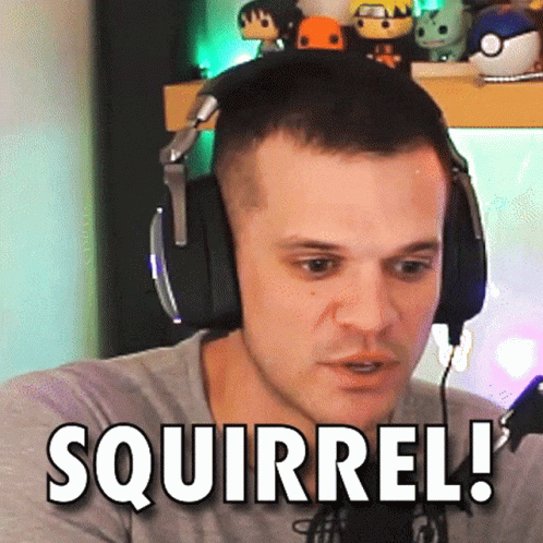 Gamer Distracted By Squirrel GIF