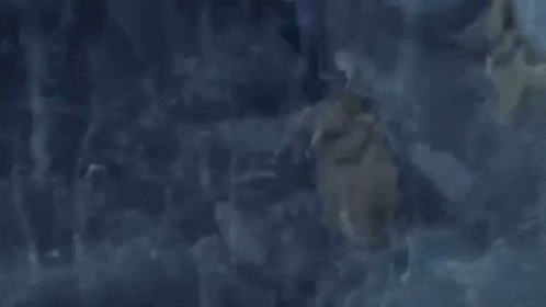 Gamma 1 Battling Gohan In The Rain GIF