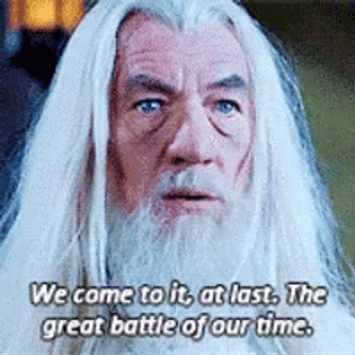 Gandalf Lord Of The Rings It Is Time GIF