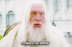 Gandalf Prepare For Battle GIF