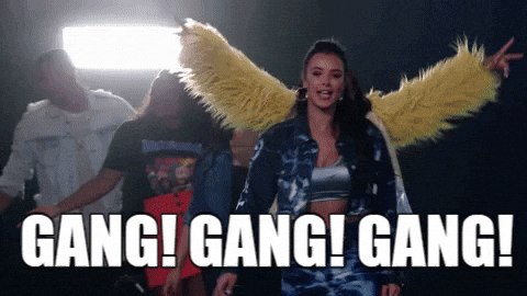 Gang Gang Dont Hate The Playaz GIF